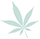 Cannabis