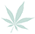 Cannabis