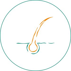 Seborea